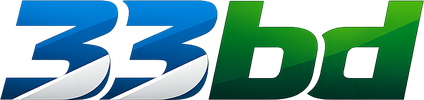33bd Logo